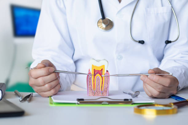 Best Emergency Dentist for Lost Fillings or Crowns in Edgemont Park, MI